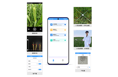莱芜市小麦亩穗数分析仪IN-XM02